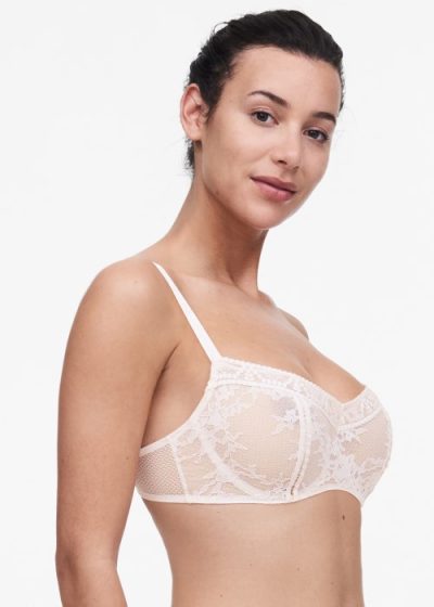 Passionata Olivia Half Cup Bra Underwraps Lingerie